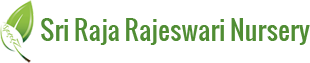 SRI RAJA RAJESWARI NURSERY